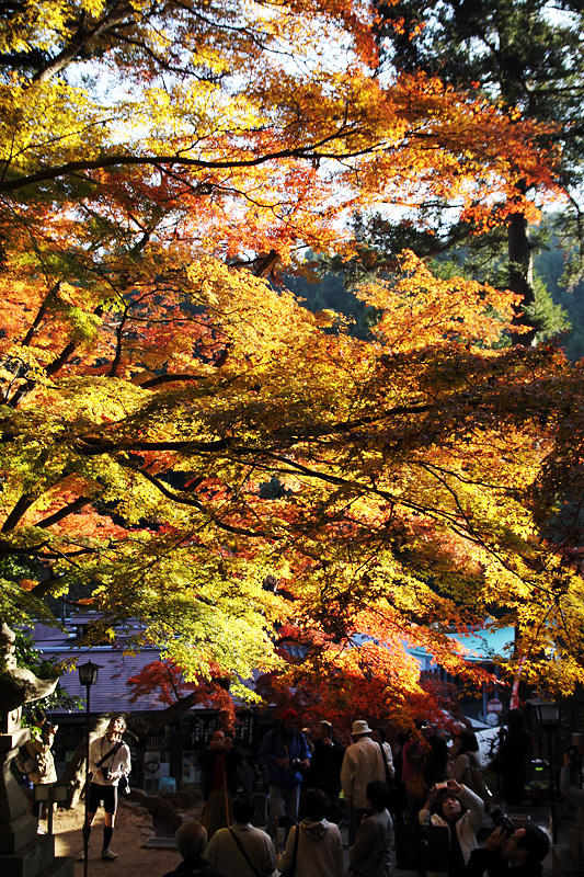 大窪寺　その１_e0190224_18124998.jpg