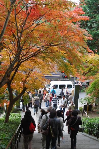 円覚寺　（11月27日）_d0085228_2105650.jpg