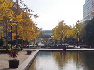 d0017632_1231372.jpg