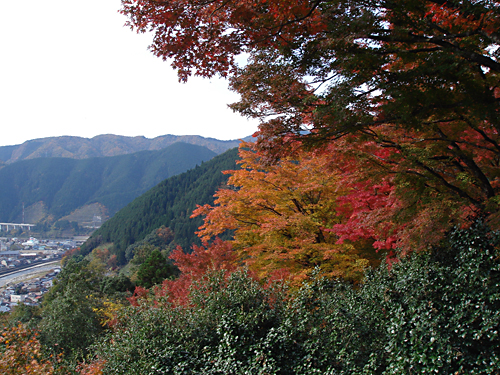 f0009439_2322197.jpg