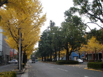 a0054240_20564121.jpg