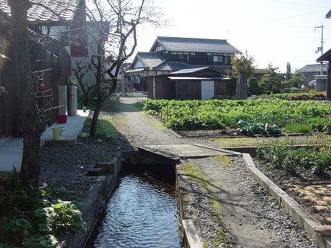 b0147444_23595216.jpg