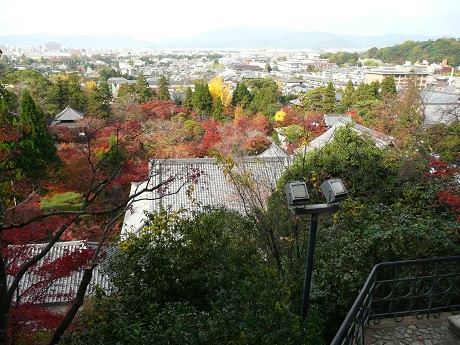 永観堂禅林寺の紅葉_c0057946_18525196.jpg