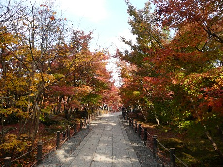 永観堂禅林寺の紅葉_c0057946_18531972.jpg