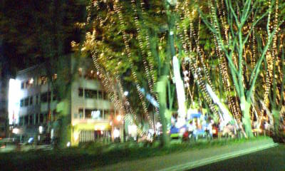 b0185450_10387.jpg