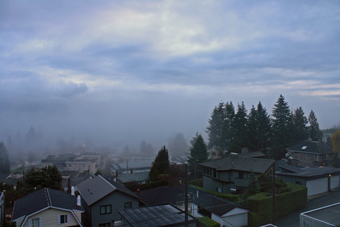 b0059152_15521645.jpg