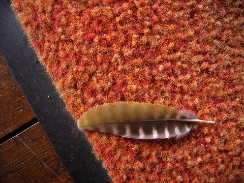 b0130166_12873.jpg