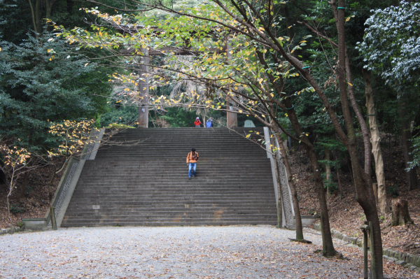 近江神宮～三井寺　あの鐘を鳴らすのはあなた編2_b0055171_22113787.jpg