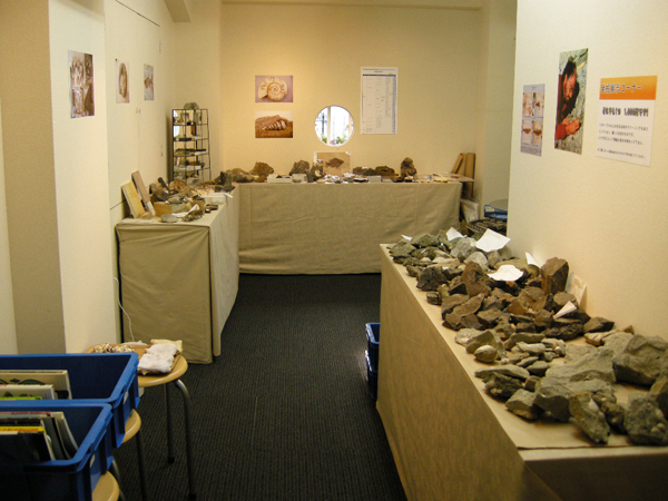 「化石展」が開催中！_f0176276_19191937.jpg