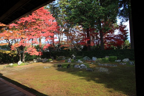 圓通寺と瑠璃光院_b0003280_1321017.jpg