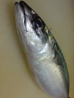 f0084695_1019645.jpg