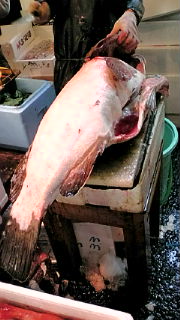 f0084695_10402888.jpg