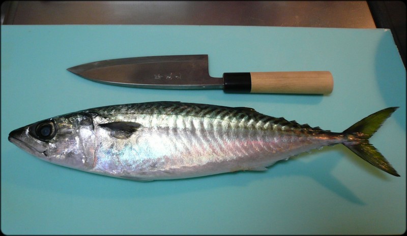 サバを使った 3枚おろし 魚と野菜と私と和ノ香