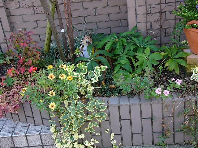 a0123003_1641874.jpg