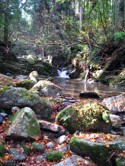 a0097006_15223986.jpg