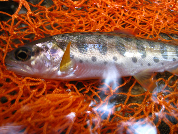 a0097006_15243830.jpg