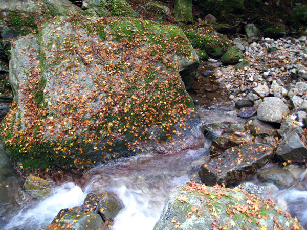 a0097006_15274868.jpg