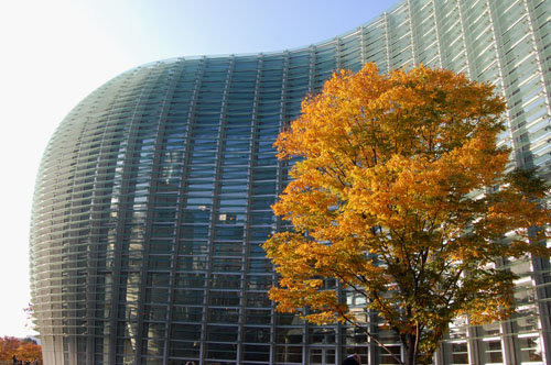 d0015006_2340770.jpg