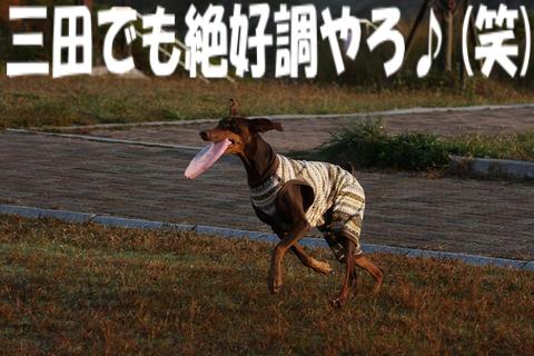 e0100007_14533688.jpg