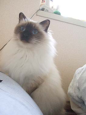 e0012610_2158140.jpg