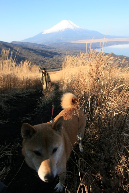 11/28　おひさ～！の富士山♪_d0143214_224846.jpg