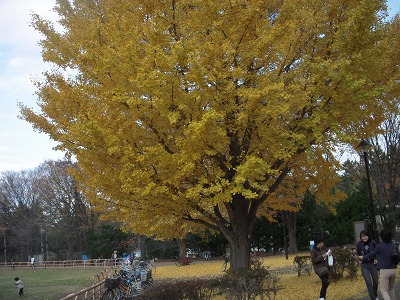 光が丘公園で遊んだよ♪_e0121418_2031386.jpg