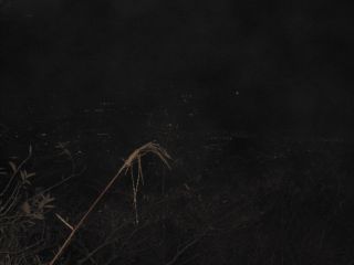 c0225420_91051.jpg