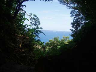 f0022222_2003367.jpg