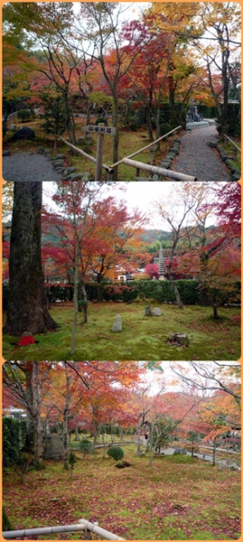 晩秋の京都（清凉寺・化野念仏寺）_d0037233_1037887.jpg