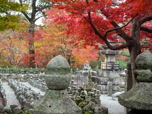 晩秋の京都（清凉寺・化野念仏寺）_d0037233_10381269.jpg