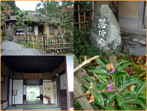 晩秋の京都（清凉寺・化野念仏寺）_d0037233_10521213.jpg