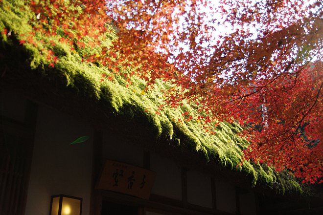 e0171336_2202228.jpg