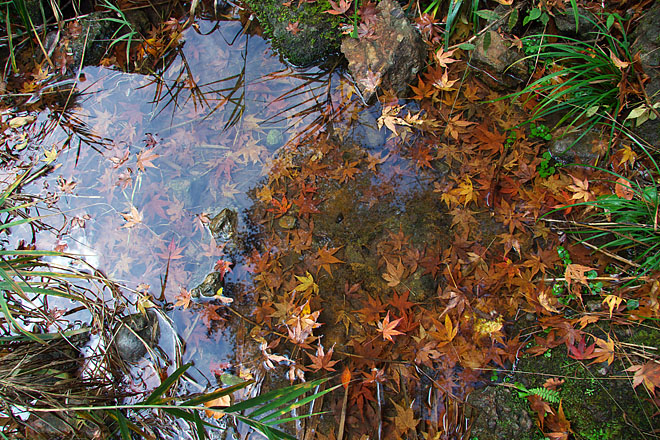 c0067040_2322934.jpg