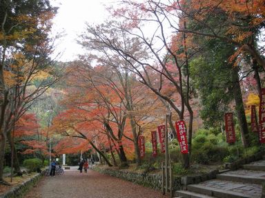 京阪大津線紅葉巡り・毘沙門堂編_d0079440_21505841.jpg