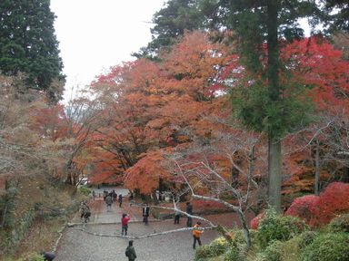 京阪大津線紅葉巡り・毘沙門堂編_d0079440_22494098.jpg