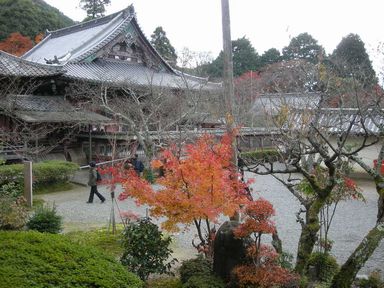 京阪大津線紅葉巡り・毘沙門堂編_d0079440_2284773.jpg