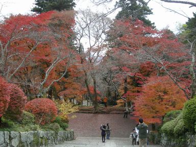 京阪大津線紅葉巡り・毘沙門堂編_d0079440_236148.jpg