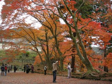 京阪大津線紅葉巡り・毘沙門堂編_d0079440_2382540.jpg