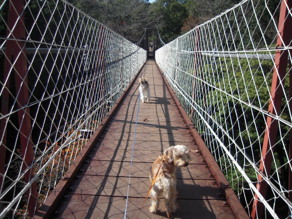 長泉・駿河平自然公園_f0198140_19504843.jpg