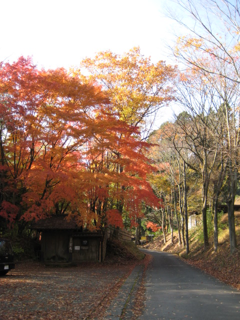 f0172342_10234612.jpg