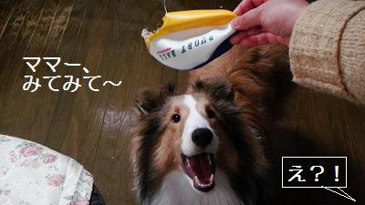 ピカソも真っ青?芸術の秋♪_e0195743_231927.jpg
