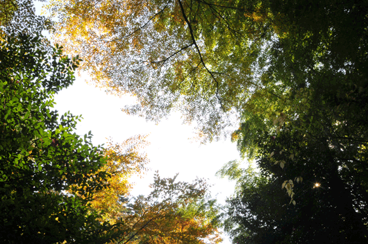 大乗寺にて(Ⅰ)_c0093046_6113753.gif