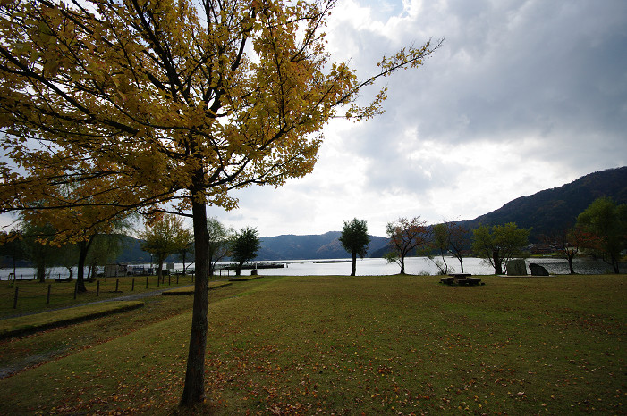 f0152550_2334366.jpg
