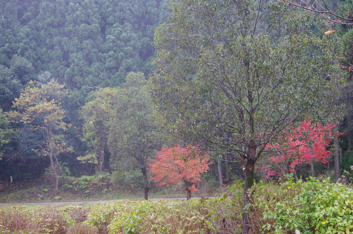 f0152550_234206.jpg