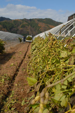 c0145453_011338.jpg