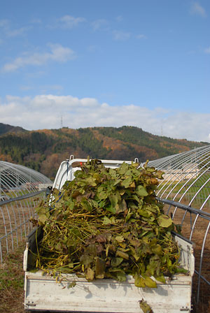 c0145453_0567.jpg