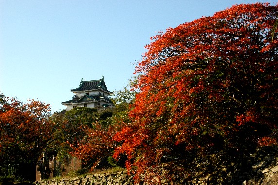 　　和歌山城公園にて_b0093754_2348170.jpg