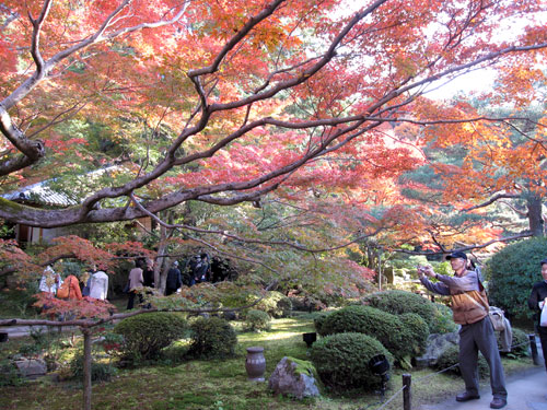 嵯峨野と青蓮院_b0016557_20441324.jpg