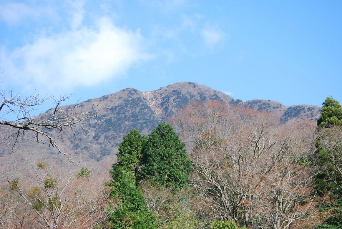 f0161757_2128399.jpg