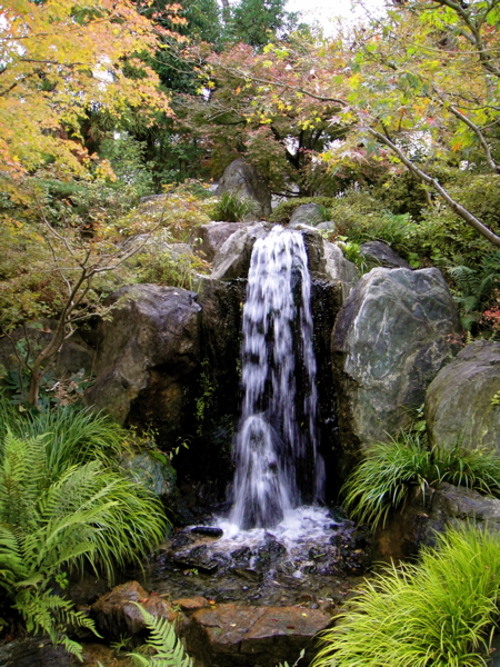 大阪　四天王寺　極楽浄土の庭で鳥と遊ぶ。_e0125762_112453.jpg